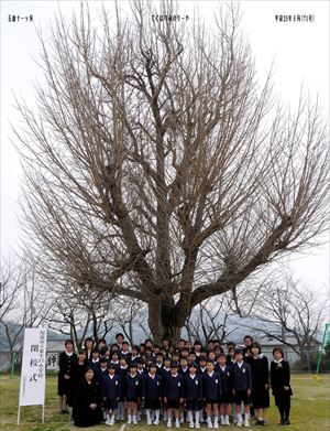 平成25年(2013年）3月24日　尾道市立　東生口小学校　閉校記念　閉校式　東生口小学校のシンボル　イチョウの木の下で… 